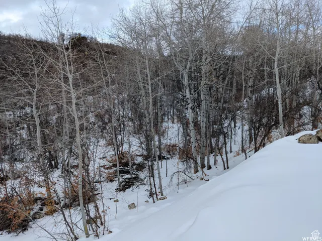 1 Archies Hideaway, Fairview, Utah 84629