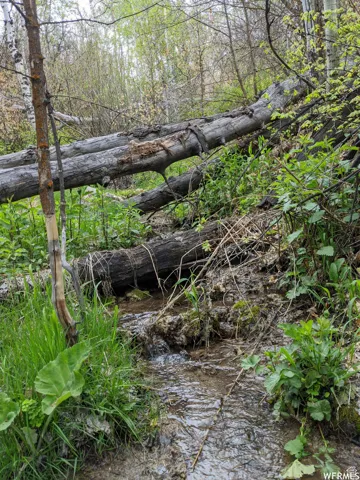 Natural stream on Lot #1