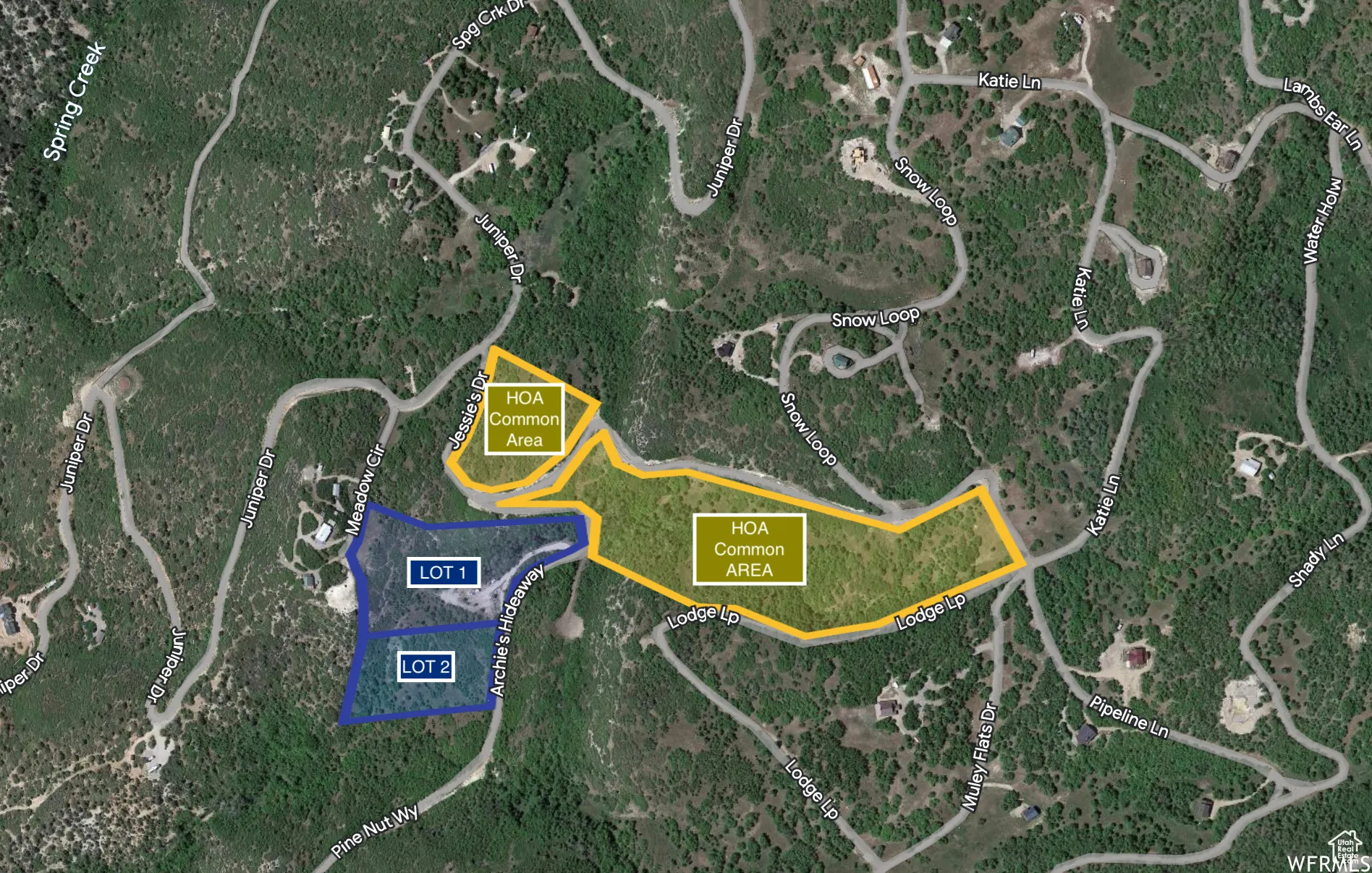 LOT 1 above and LOT 2-Blue below, HOA Open Space in yellow