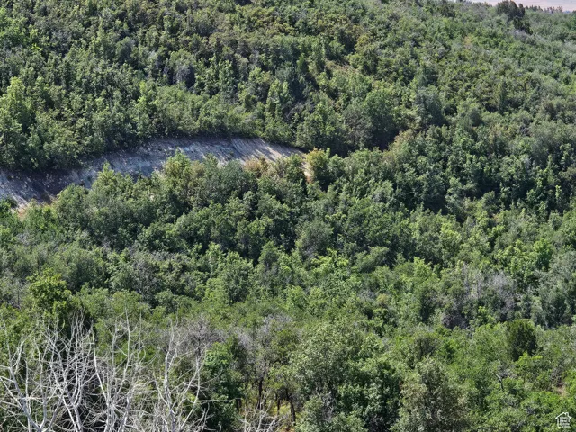 2 Archies Hideaway, Fairview, Utah 84629
