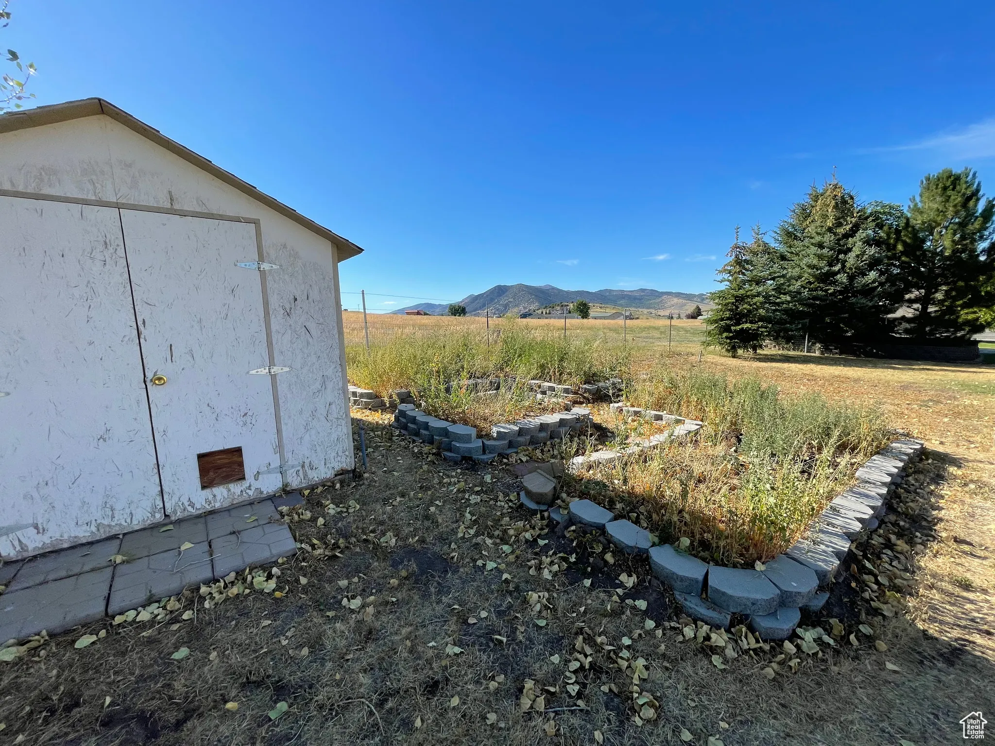 View of yard with a mountain view, a view of rural / pastoral area, and a shed