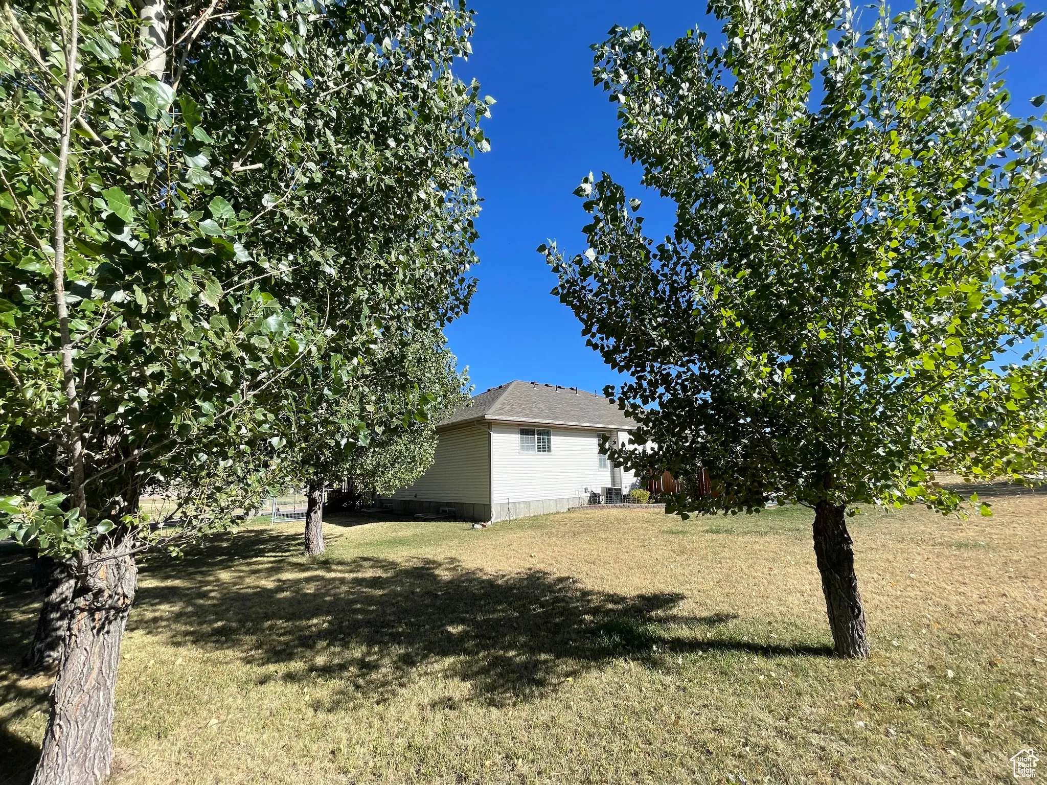 View of grassy yard