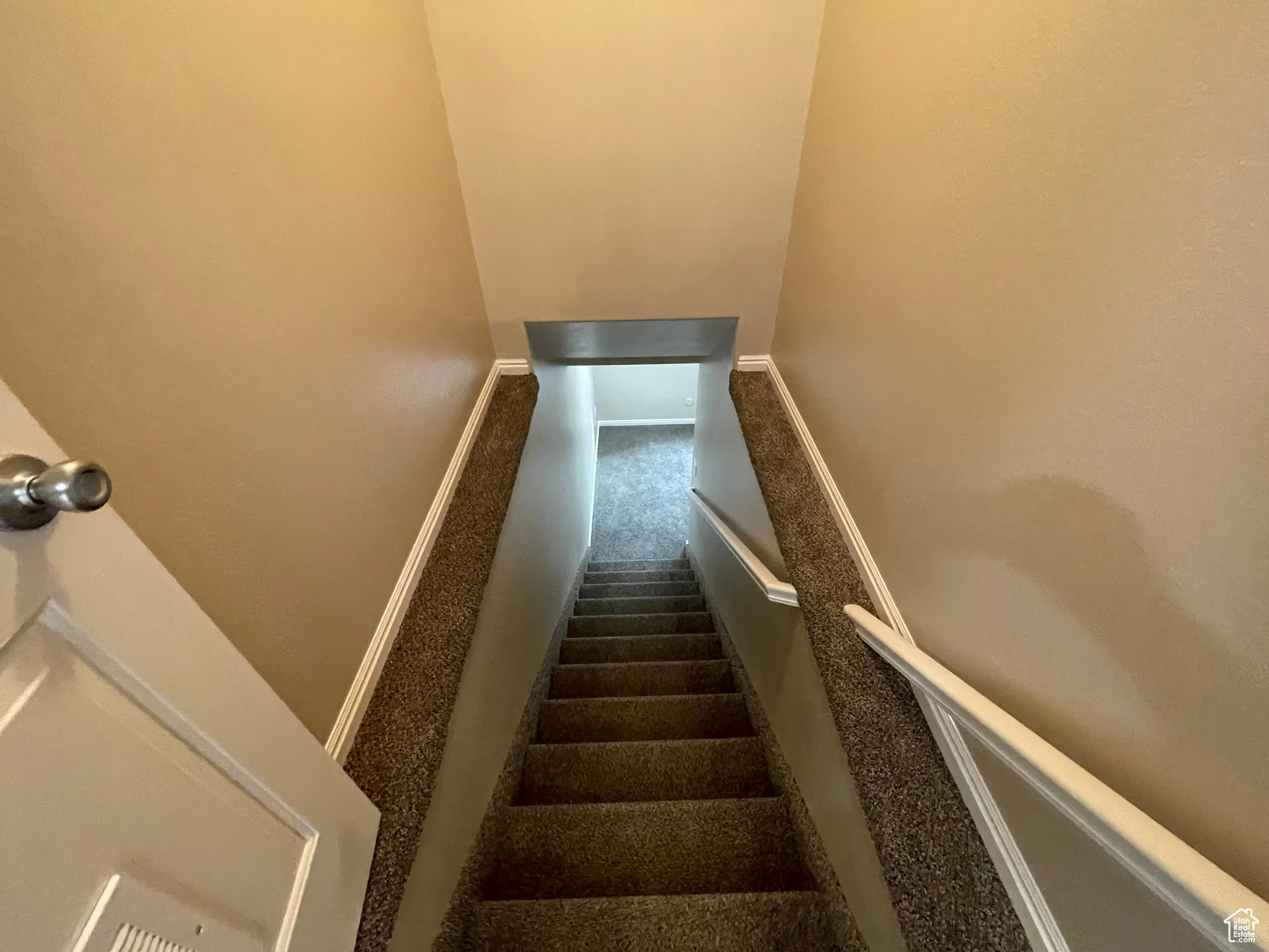 Stairs with baseboards and carpet flooring