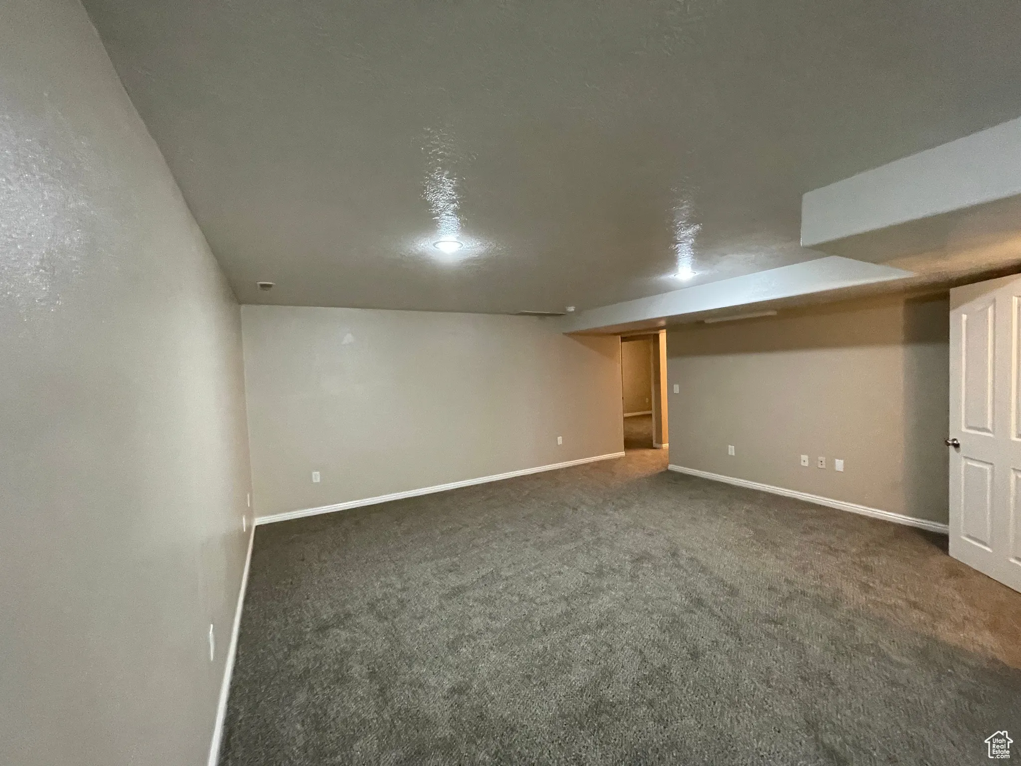 Finished below grade area with carpet and baseboards