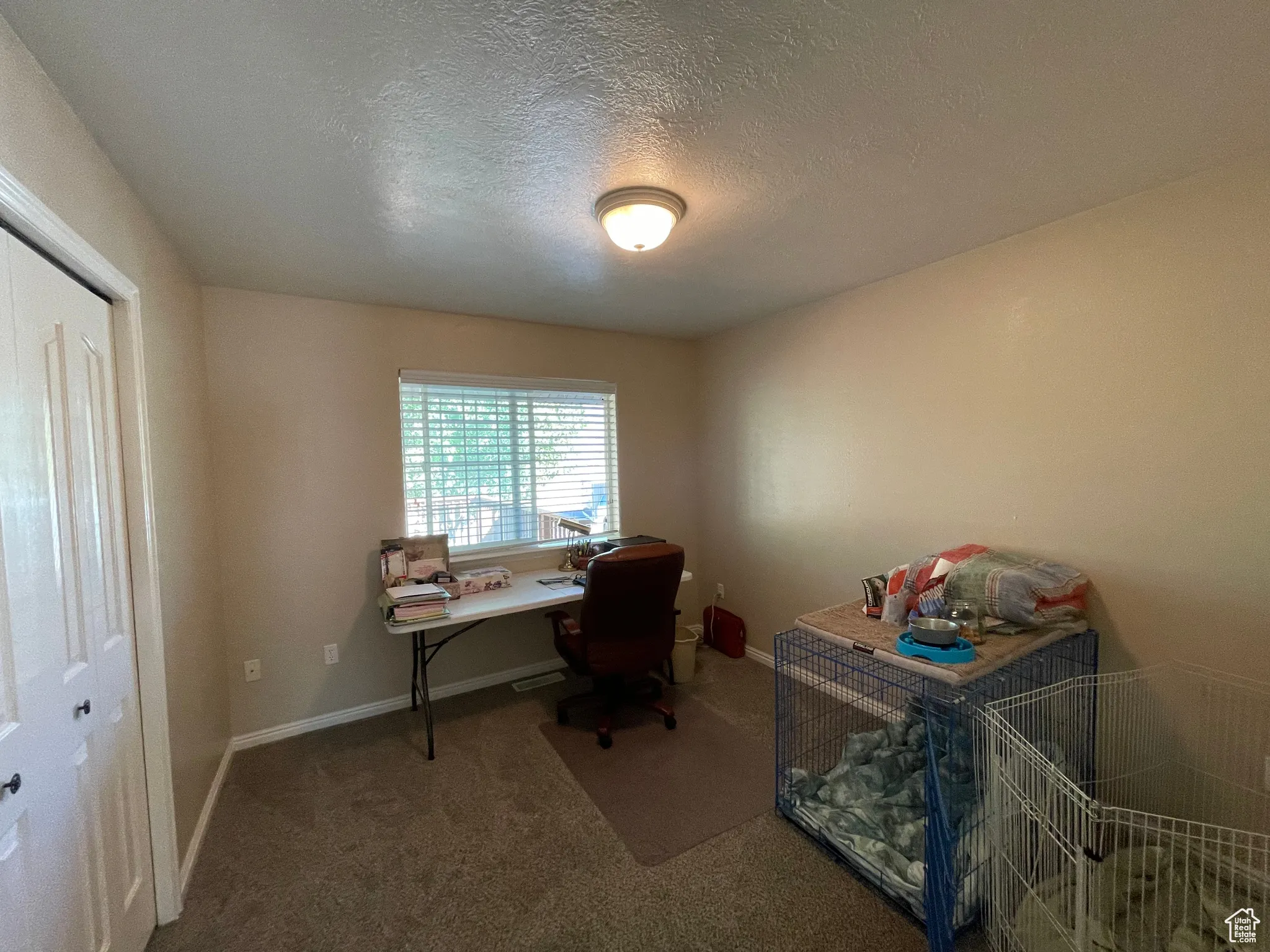 Office with carpet flooring and a textured ceiling