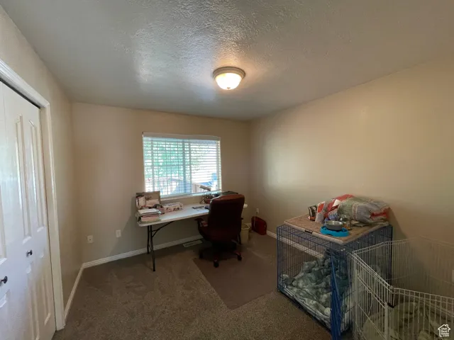 Office with carpet flooring and a textured ceiling