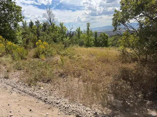 View of wooded area with a mountain view
