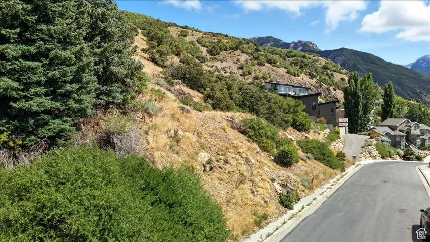Street side view of property