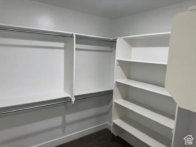 Spacious closet featuring dark carpet