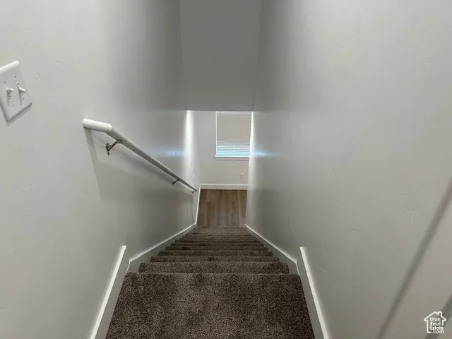 Stairs with carpet and baseboards