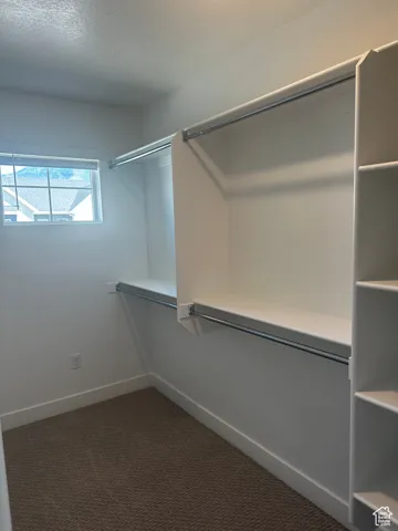 Spacious closet with dark carpet