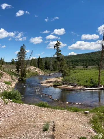 Water view featuring a heavily wooded area