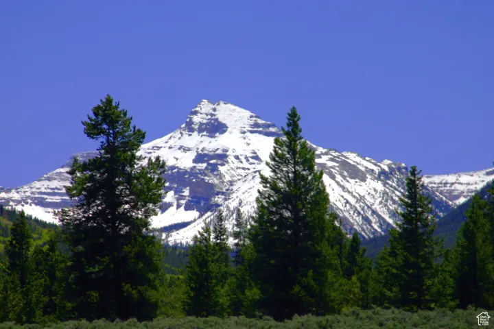 View of mountain background with a forest