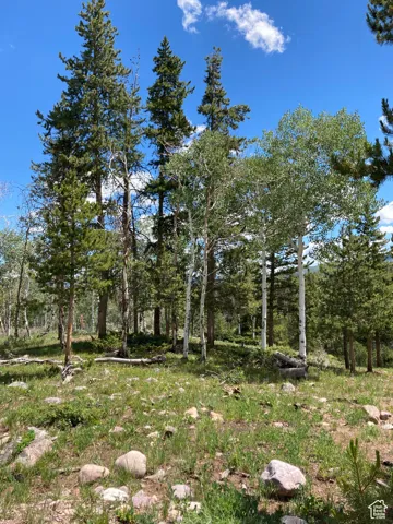 View of nature