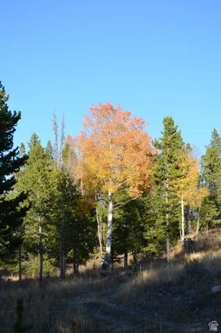 View of nature