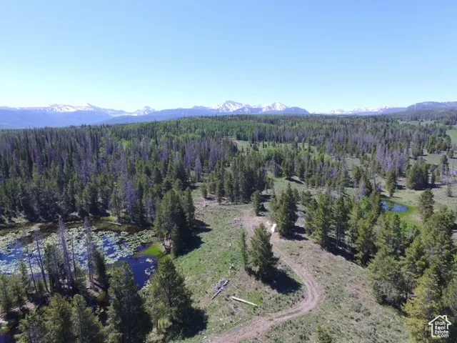Aerial overview of property's location featuring a heavily wooded area and a mountain backdrop