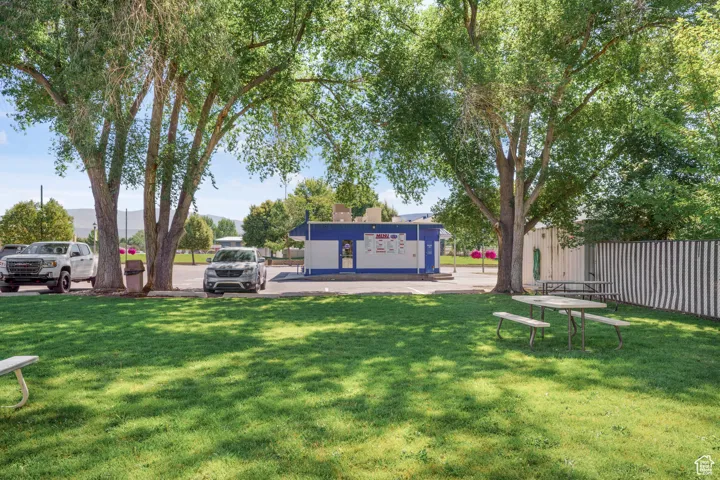 View of grassy yard
