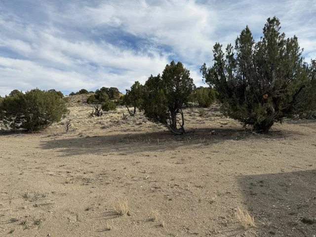 View of undeveloped land featuring rural landscape