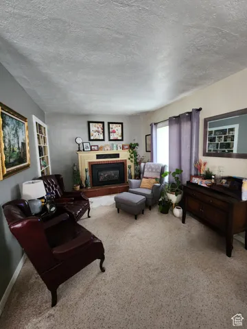 Carpeted living room with a textured ceiling and a glass covered fireplace