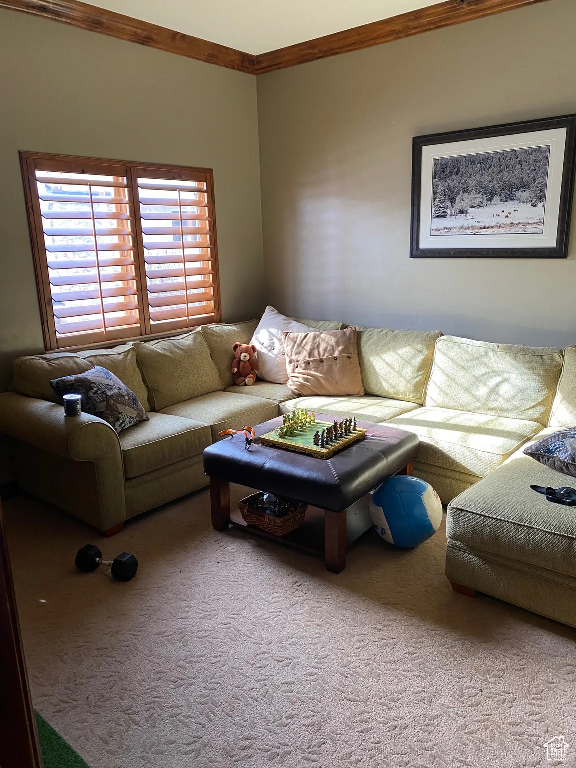 Carpeted living area with ornamental molding