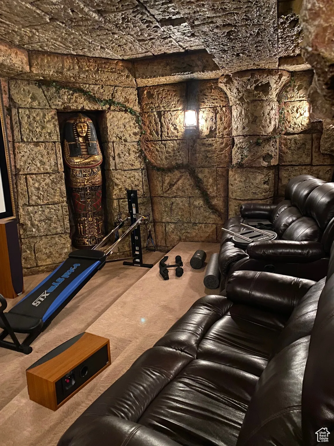 View of carpeted cinema