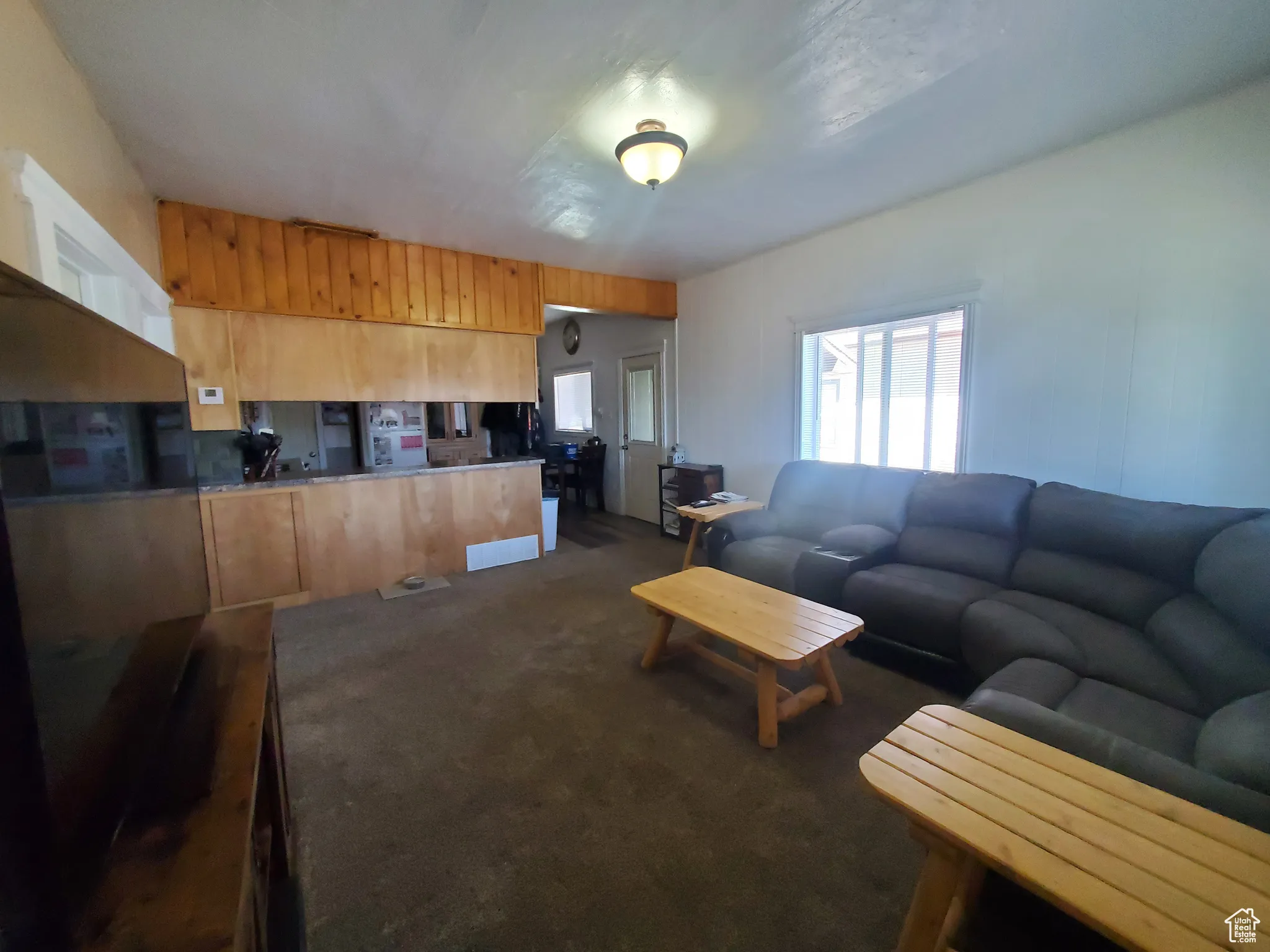 Living area featuring dark carpet and natural light