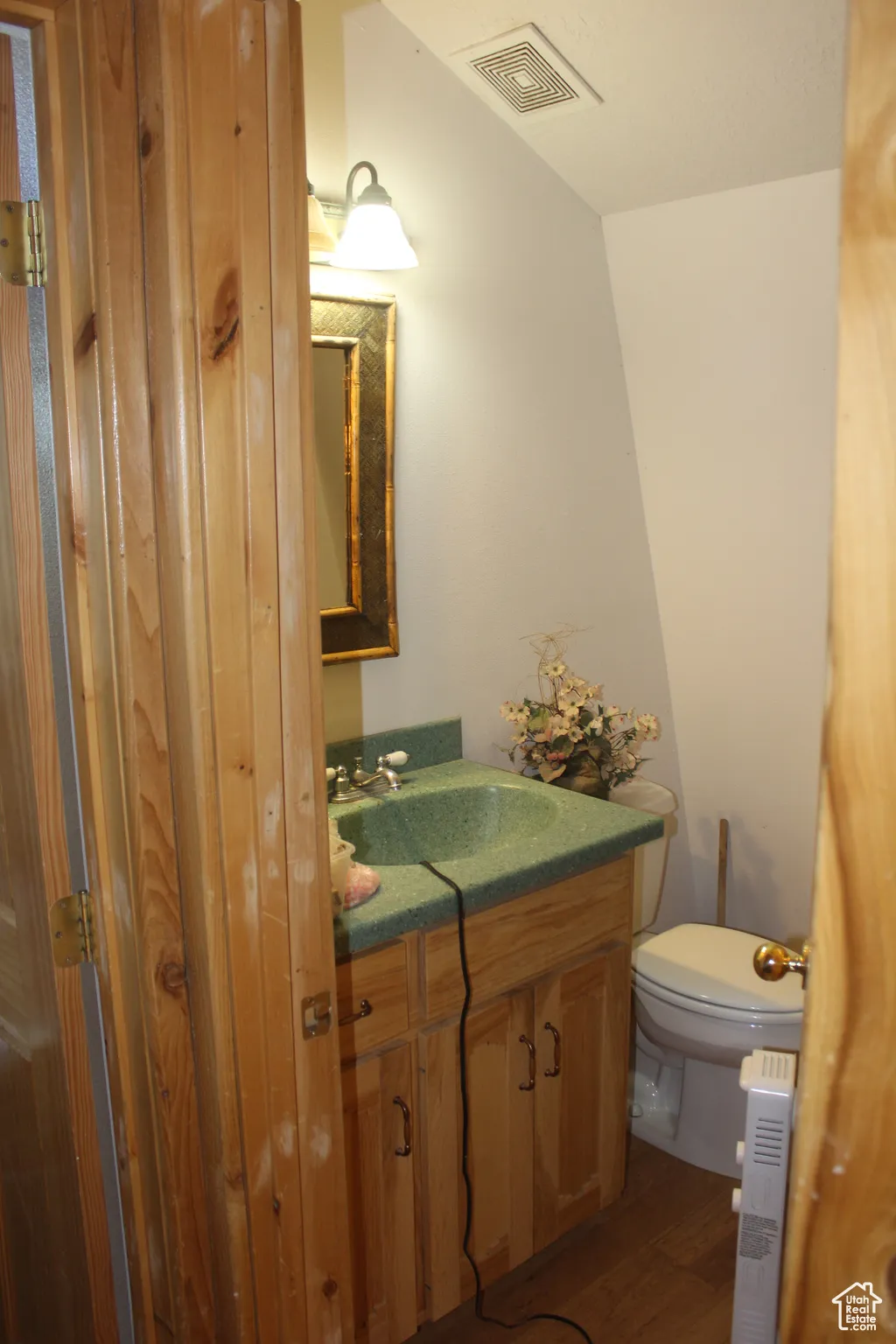 Half bath featuring vanity and dark wood-style floors