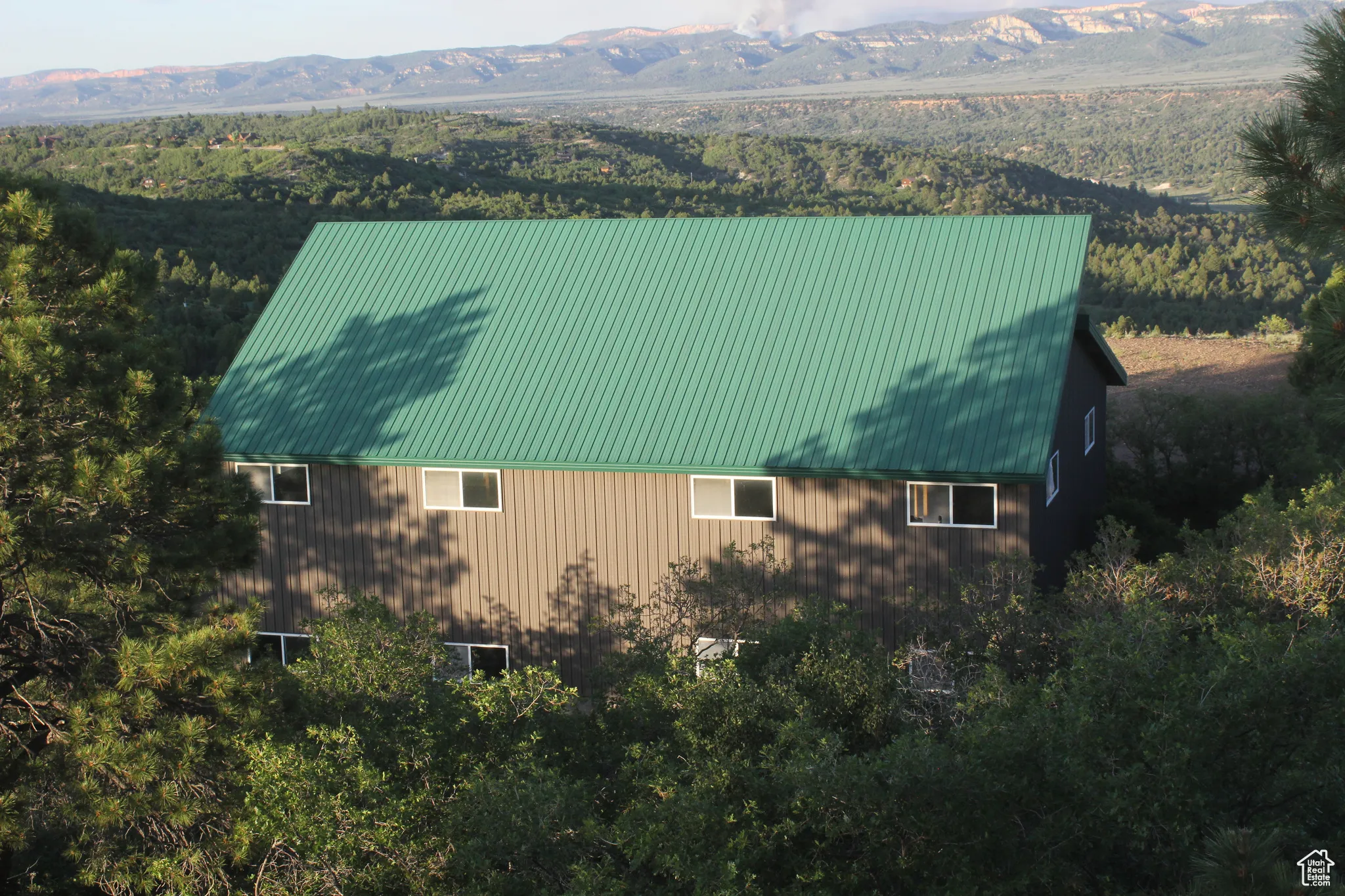 Aerial view of a mountainous background and a heavily wooded area