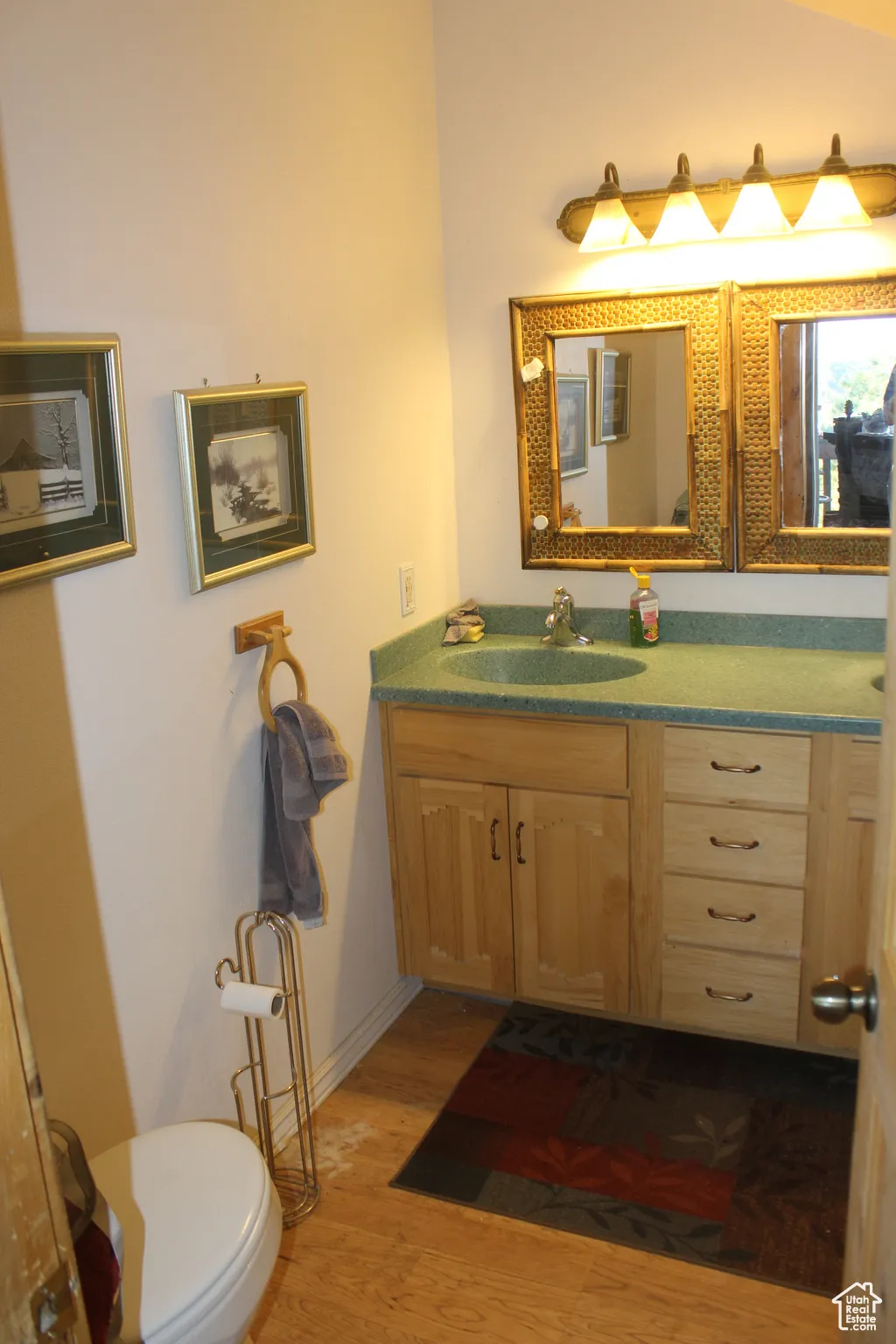 Half bath with vanity and dark wood-style flooring