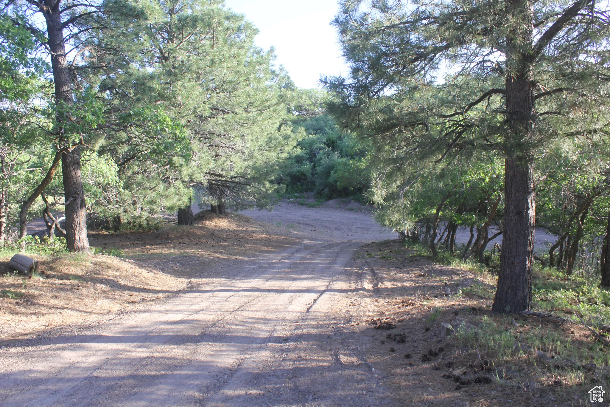 View of dirt / gravel road