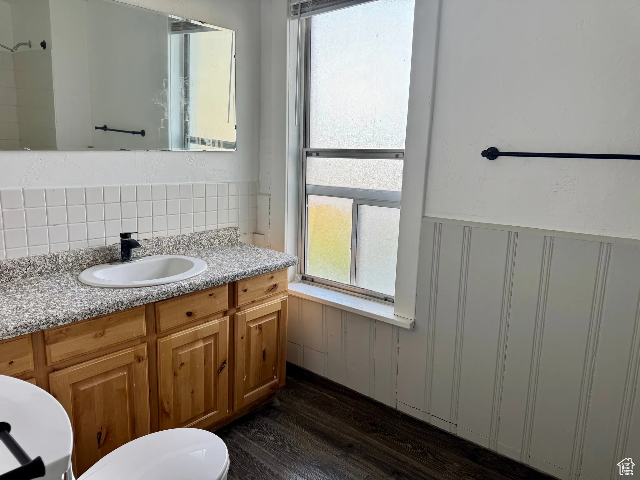 Full bath with dark wood finished floors, vanity, a wainscoted wall, and decorative backsplash