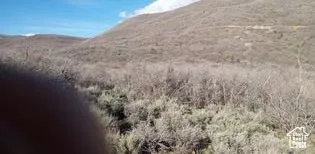 View of mountain backdrop
