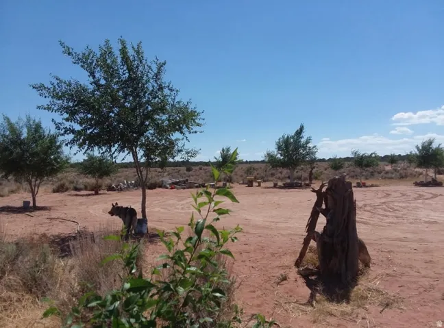 View of yard featuring a view of countryside