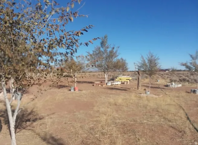 View of yard with a view of rural / pastoral area