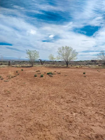 View of yard featuring a rural view