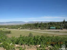 Common area and meadow