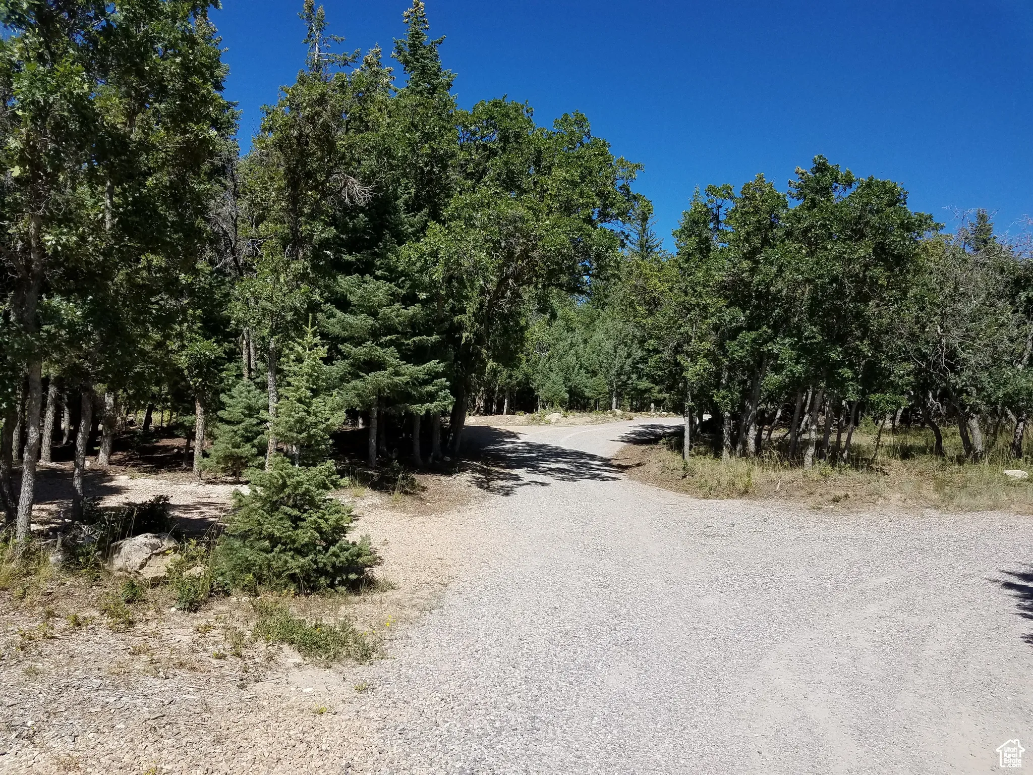 Common area camping