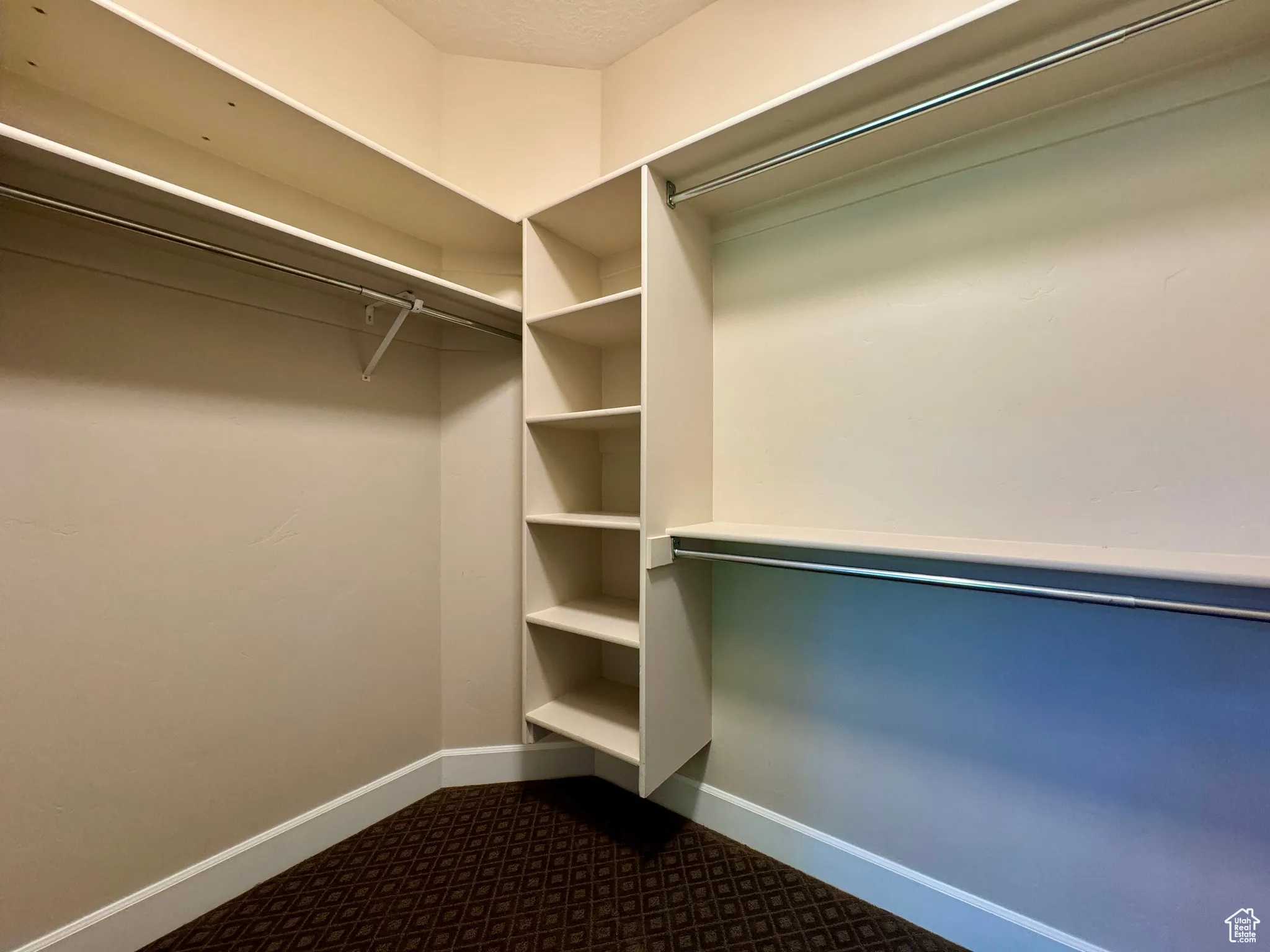 Spacious closet featuring dark colored carpet