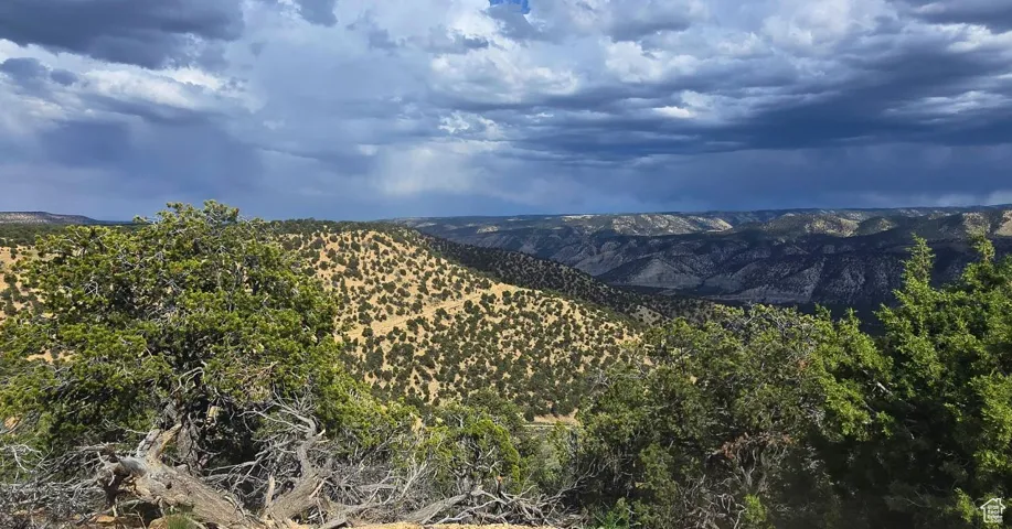 View of mountain background