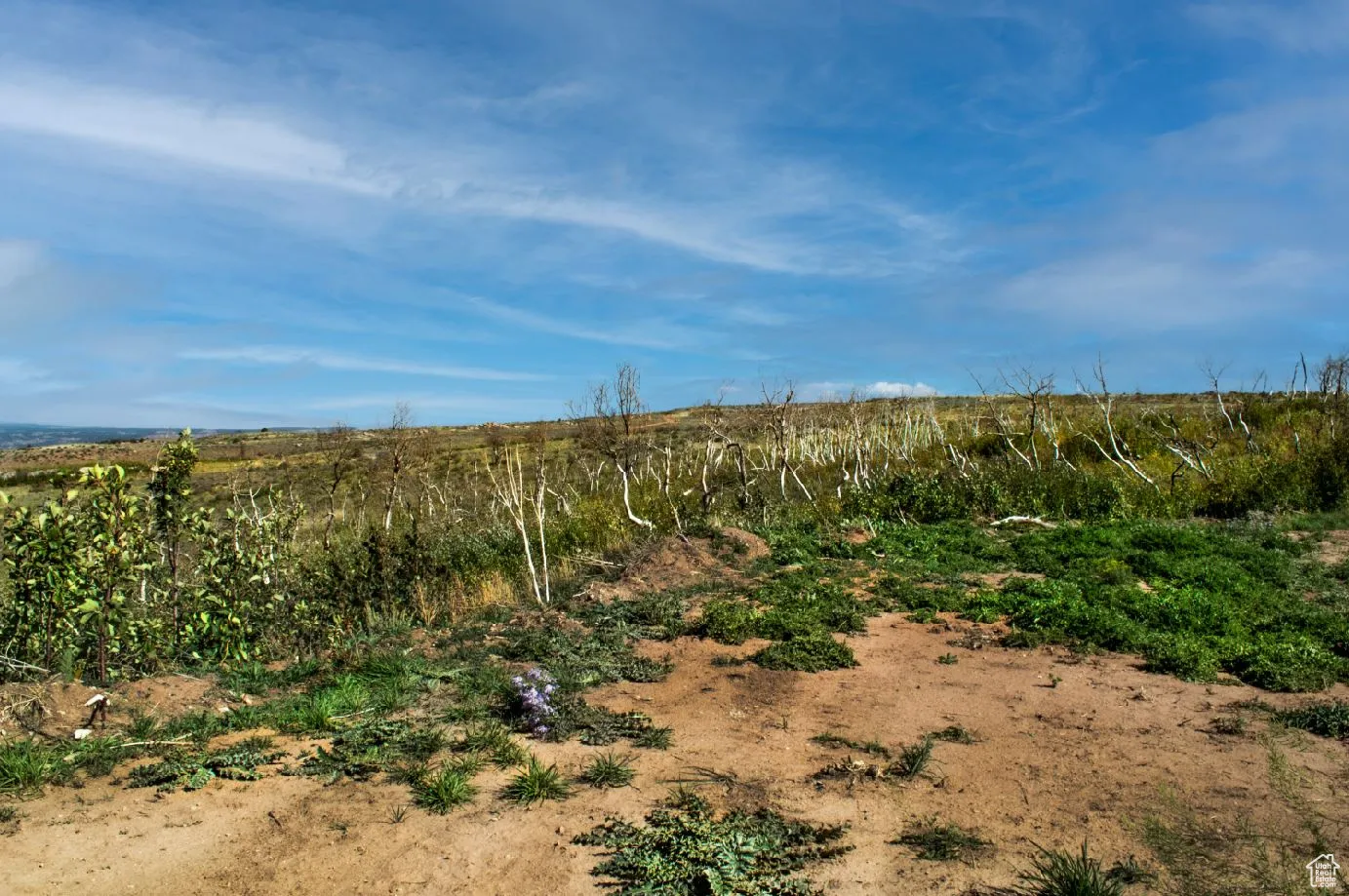 View of nature with rural landscape
