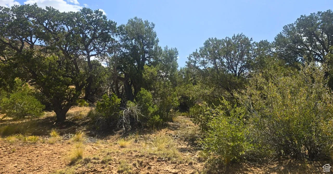 View of nature