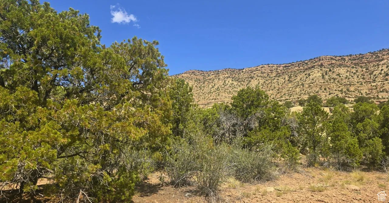 View of mountain backdrop