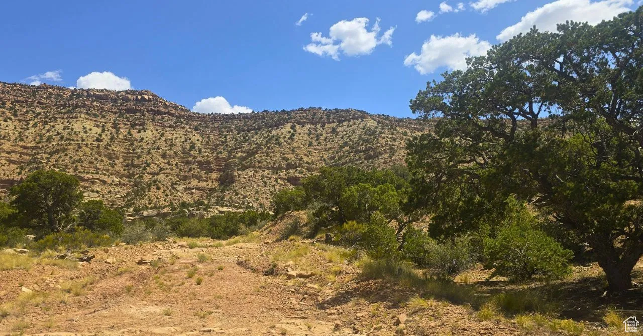 View of mountain background