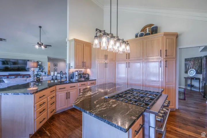 Kitchen with crown molding, dark wood finished floors, a kitchen bar, stainless steel range with gas cooktop, and a peninsula