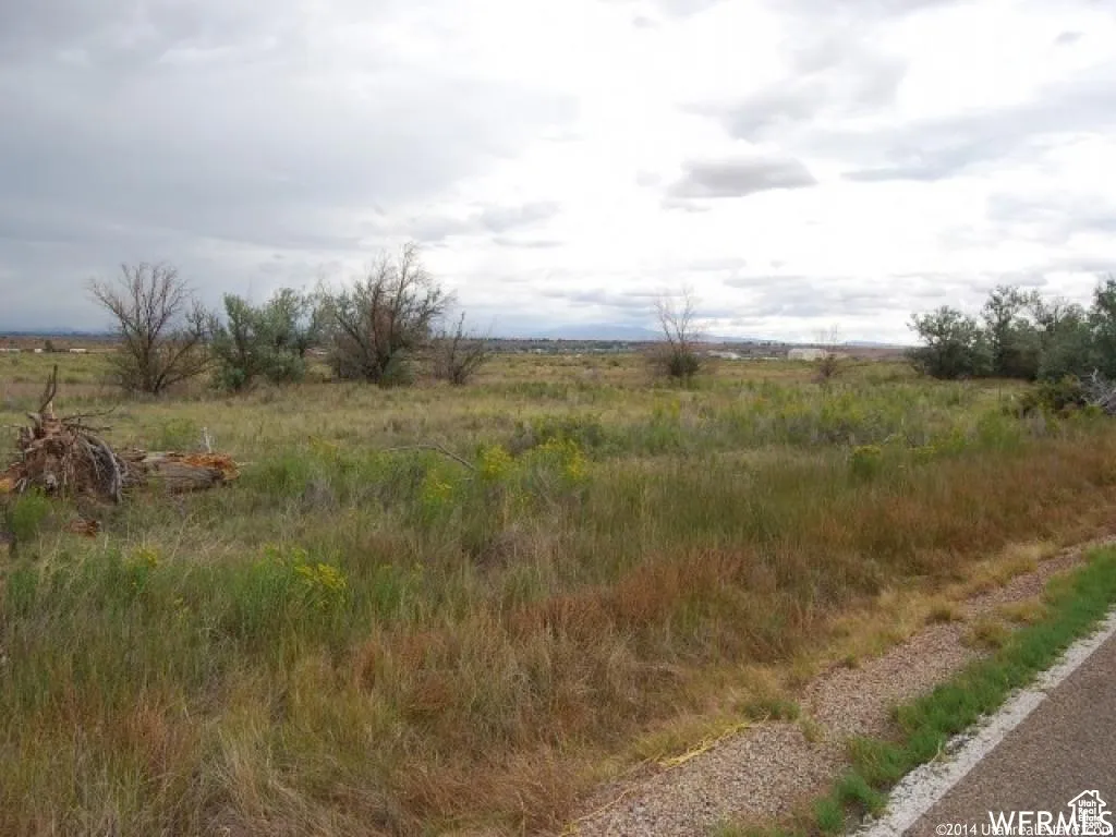 View of asphalt street with a view of rural / pastoral area