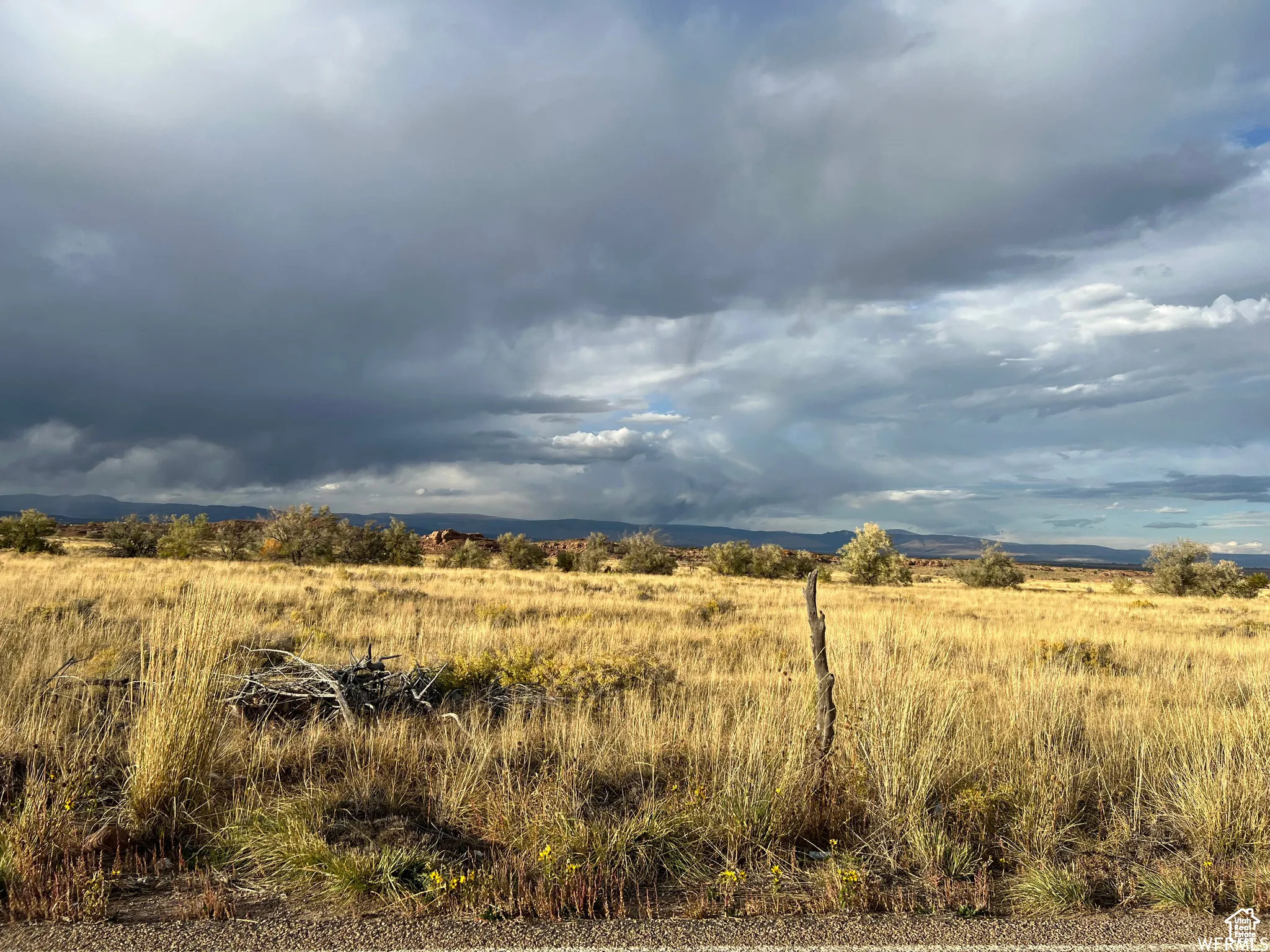 View of local wilderness featuring rural landscape