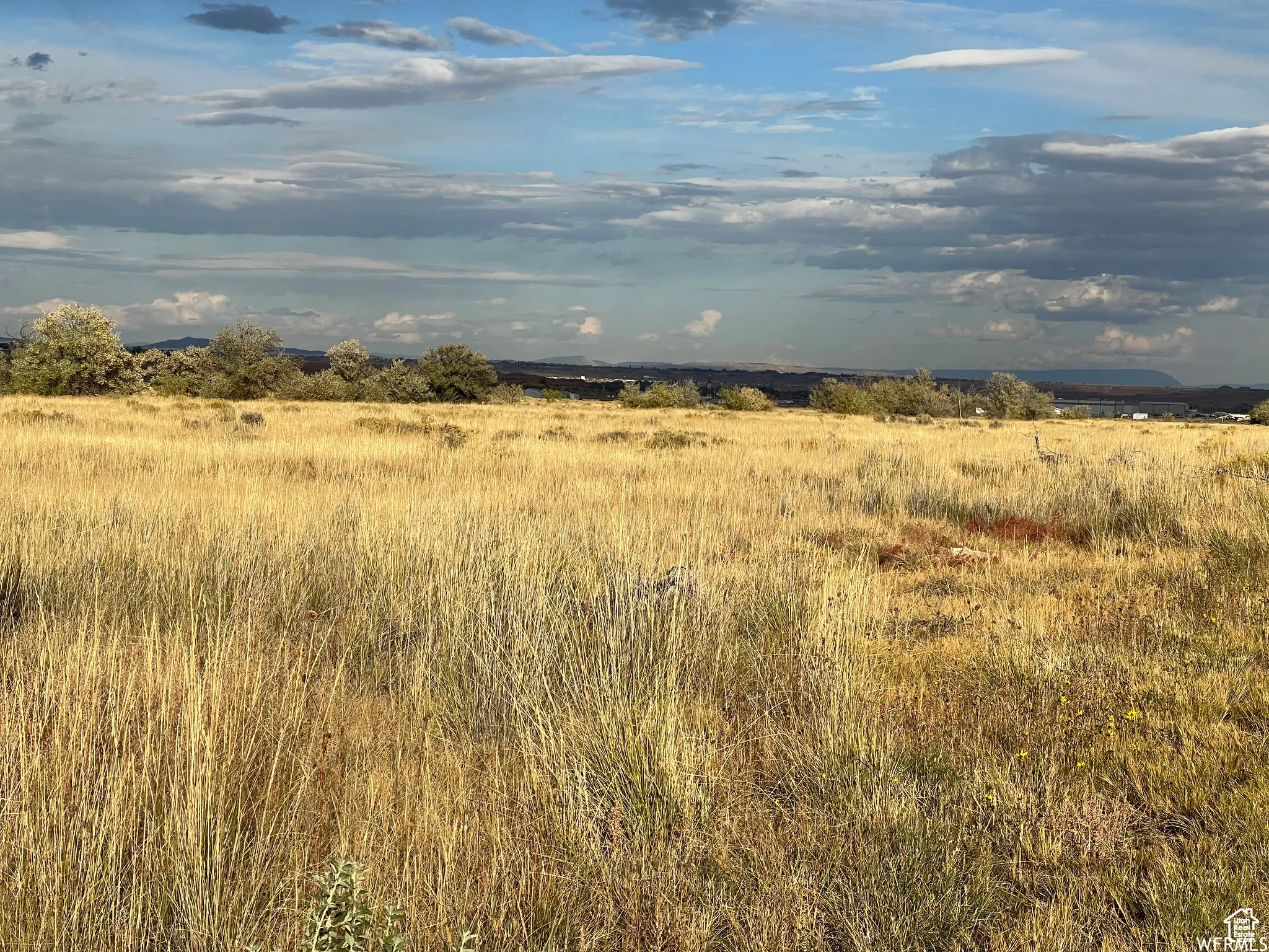 View of local wilderness with rural landscape