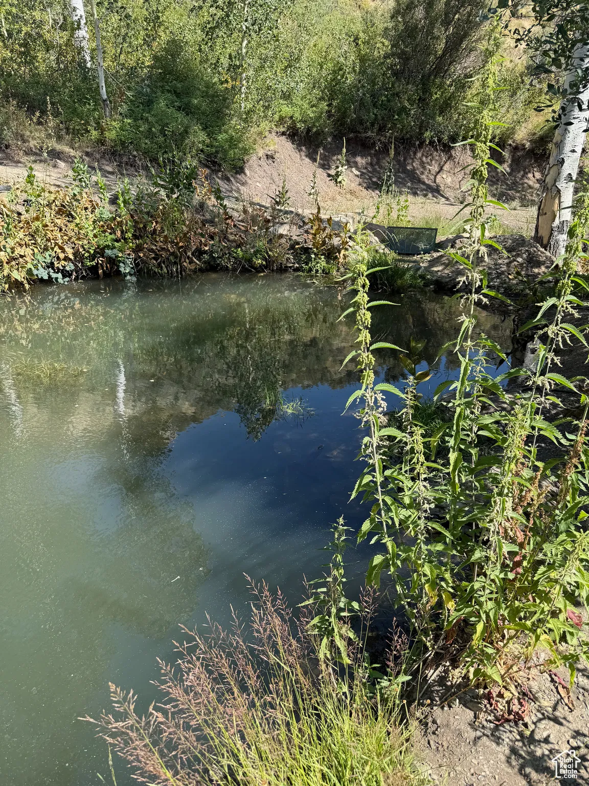 Water view