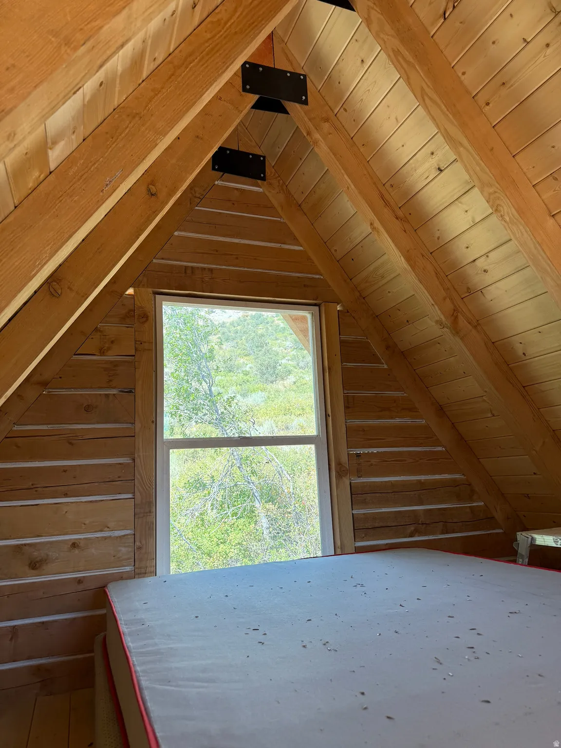 View of attic