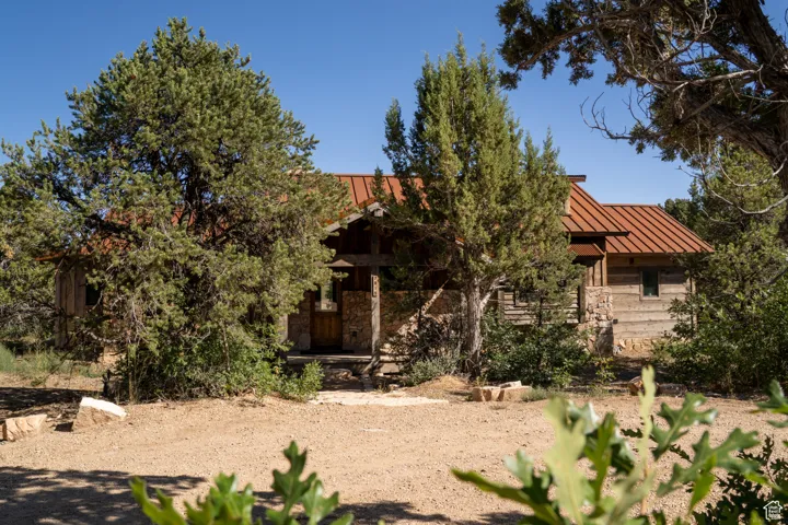 View of property hidden behind natural elements featuring a standing seam roof, a metal roof, and stone siding